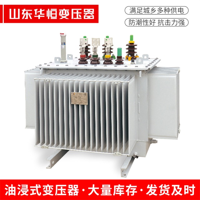 S13-10000/35耿马耿马耿马电力变压器